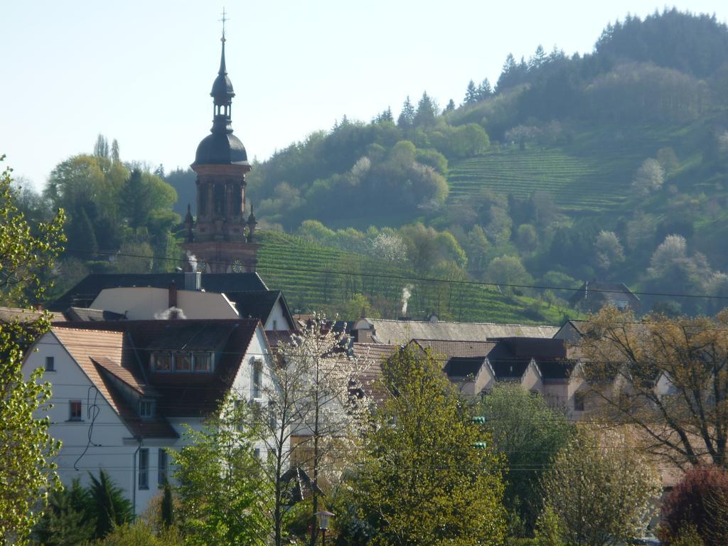 Schwarzwald Villa Gengenbach Exteriér fotografie